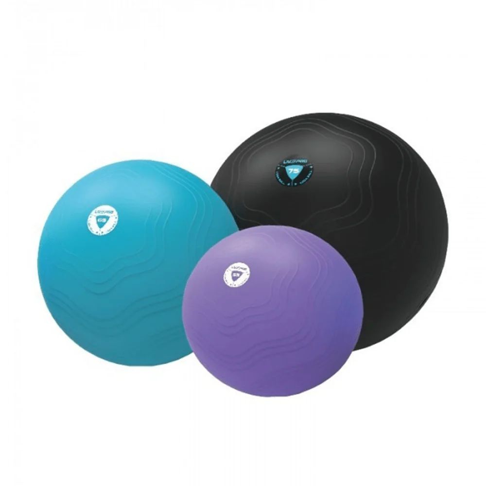LivePro Anti Burst Core Fit Exercise Ball